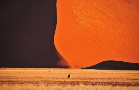Top 12 Most Beautiful Deserts In The World