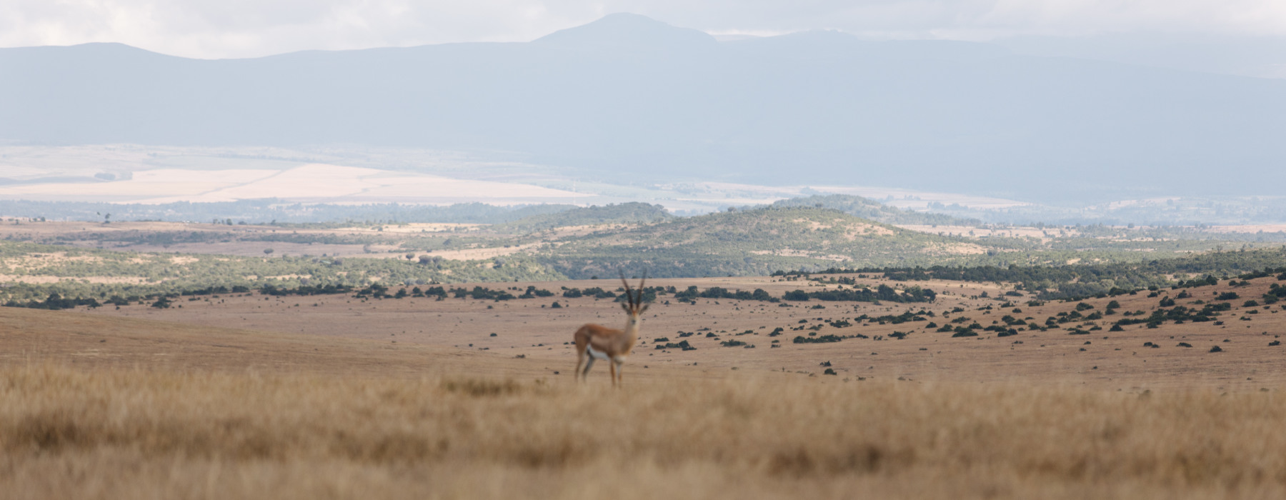 Kenya<br class="hidden-md hidden-lg" /> Wildlife Holidays