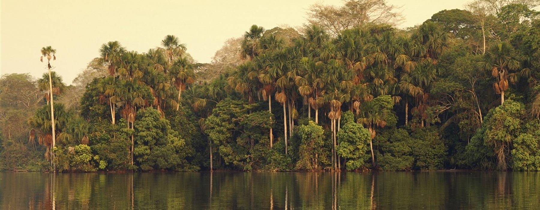 Peruvian Amazon<br class="hidden-md hidden-lg" /> Holidays
