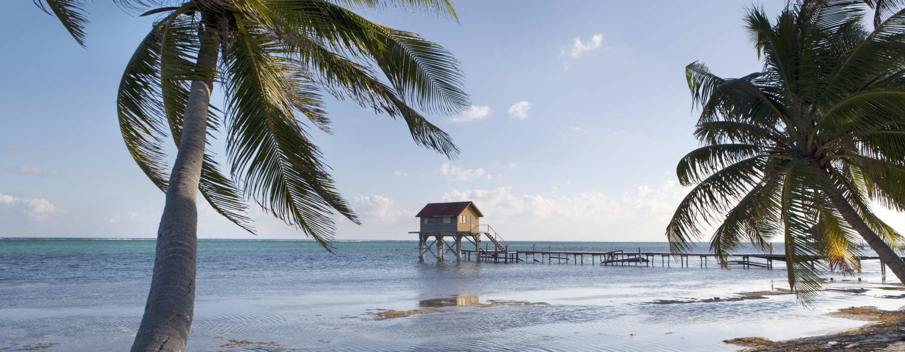 Belize<br class="hidden-md hidden-lg" /> Diving Holidays