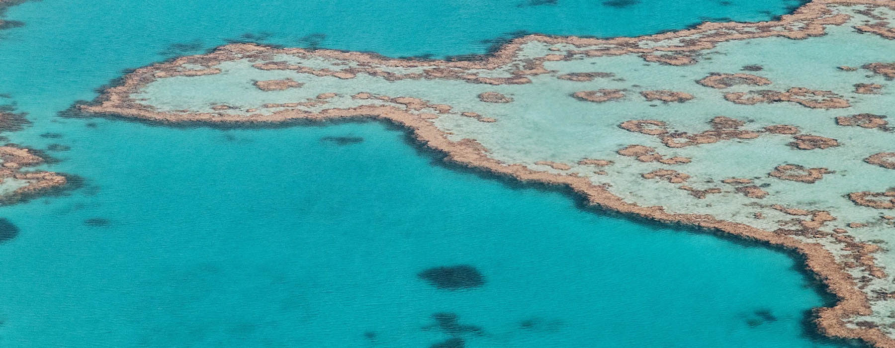Queensland & The Great Barrier Reef<br class="hidden-md hidden-lg" /> Holidays