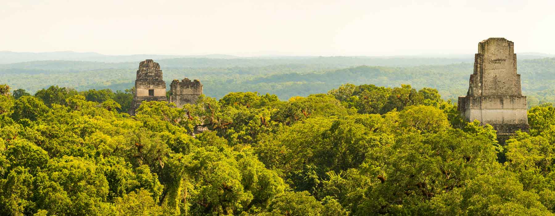 Tikal National Park<br class="hidden-md hidden-lg" /> Holidays