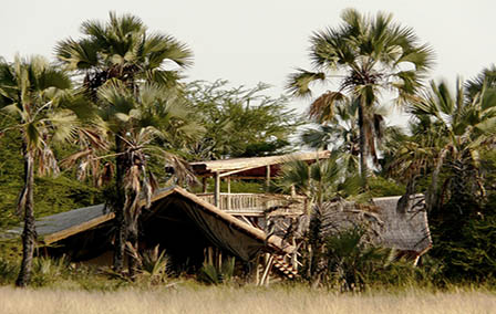 Our Top Five Luxury Safari Lodges in Tanzania