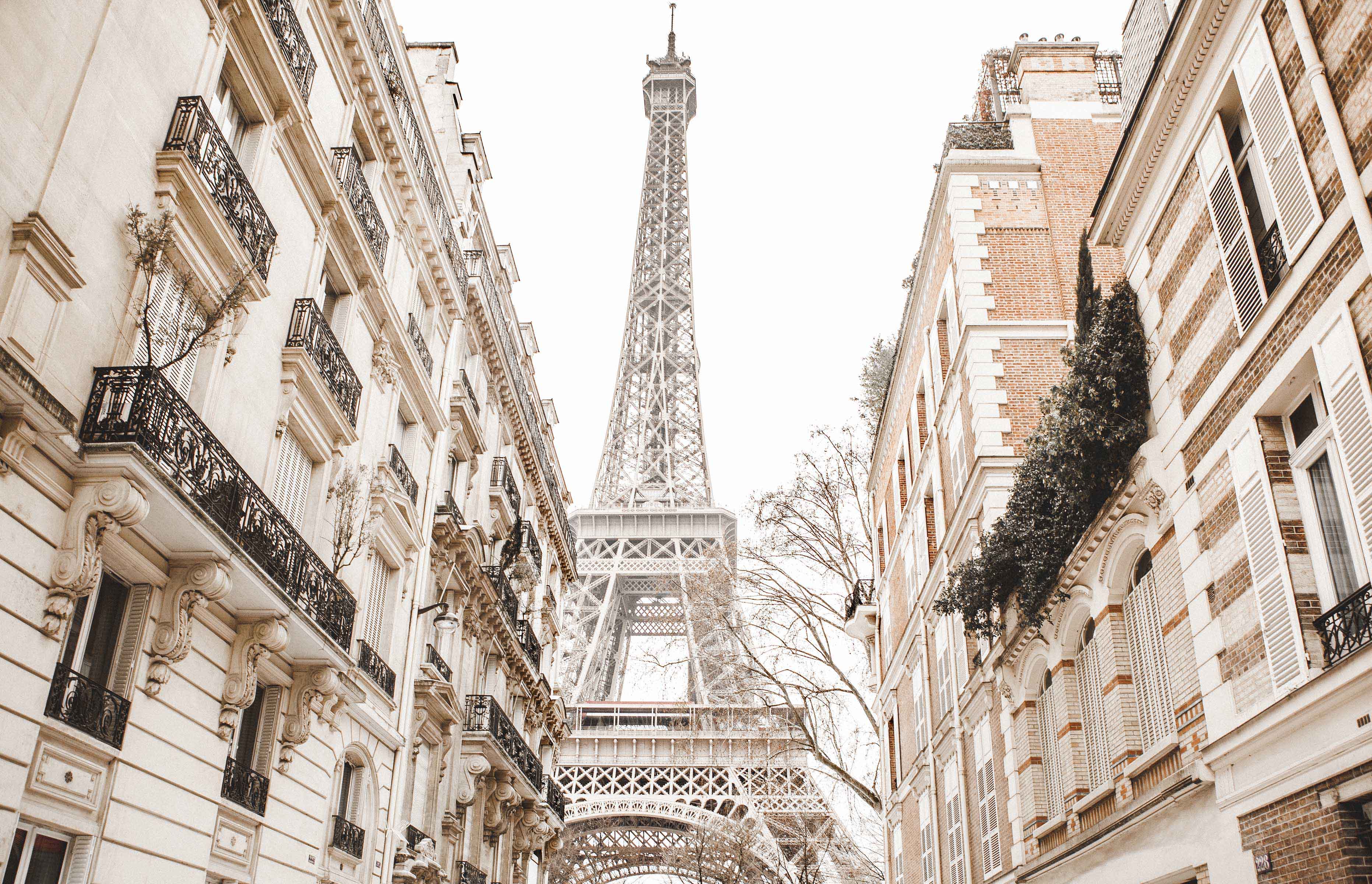 Reasons to Visit Paris in Winter