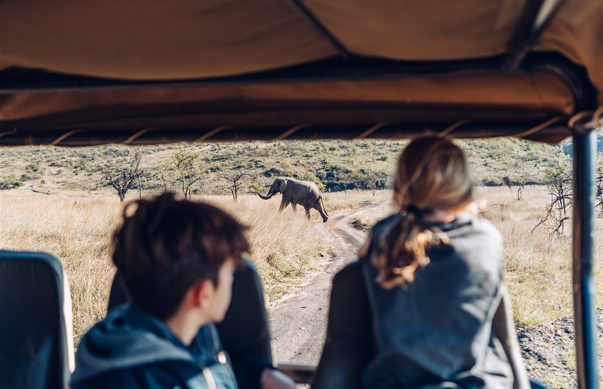 Photographic Safaris: Our Top Tips